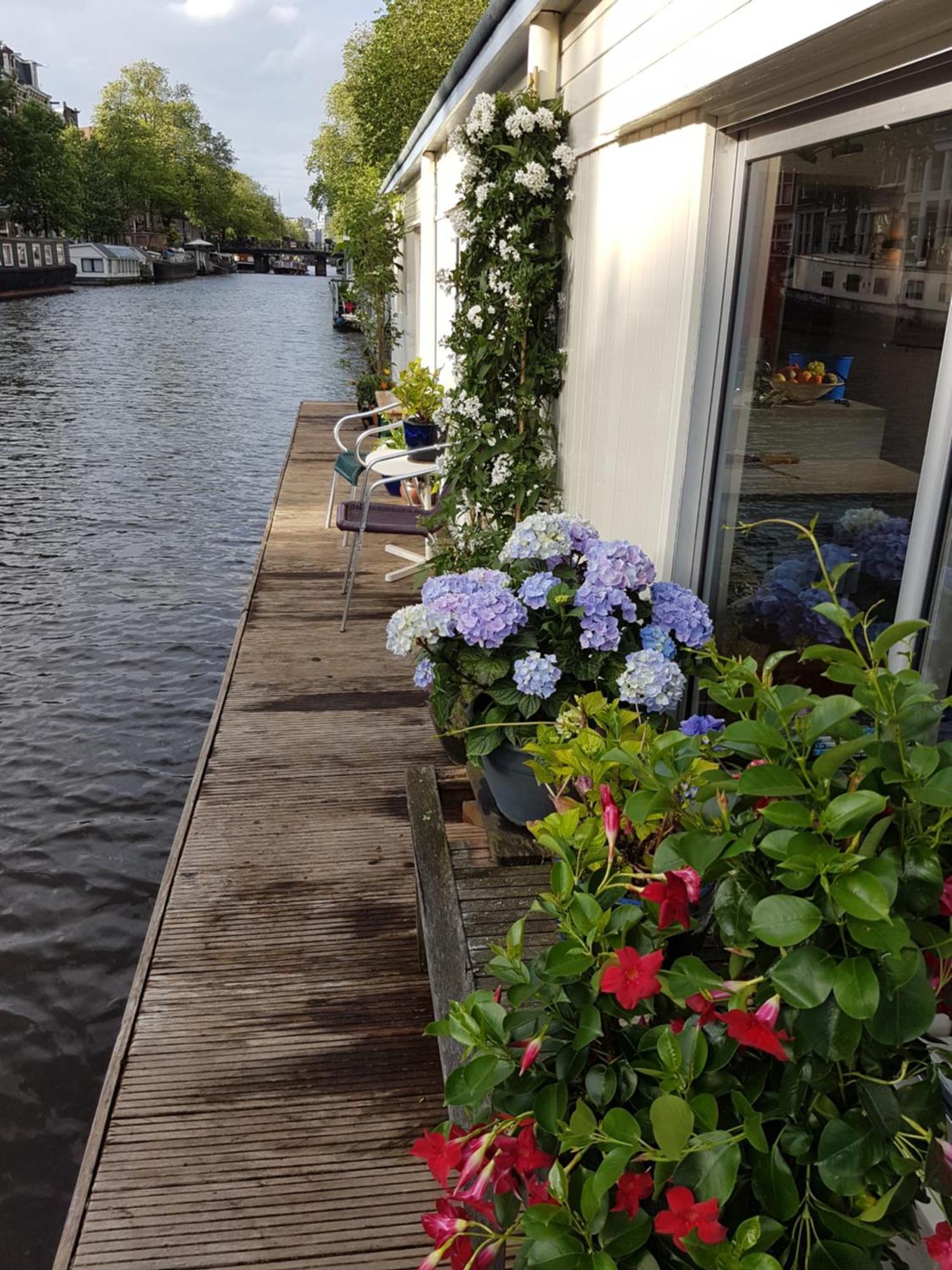 Pantheos Top Houseboat Amsterdam Bagian luar foto